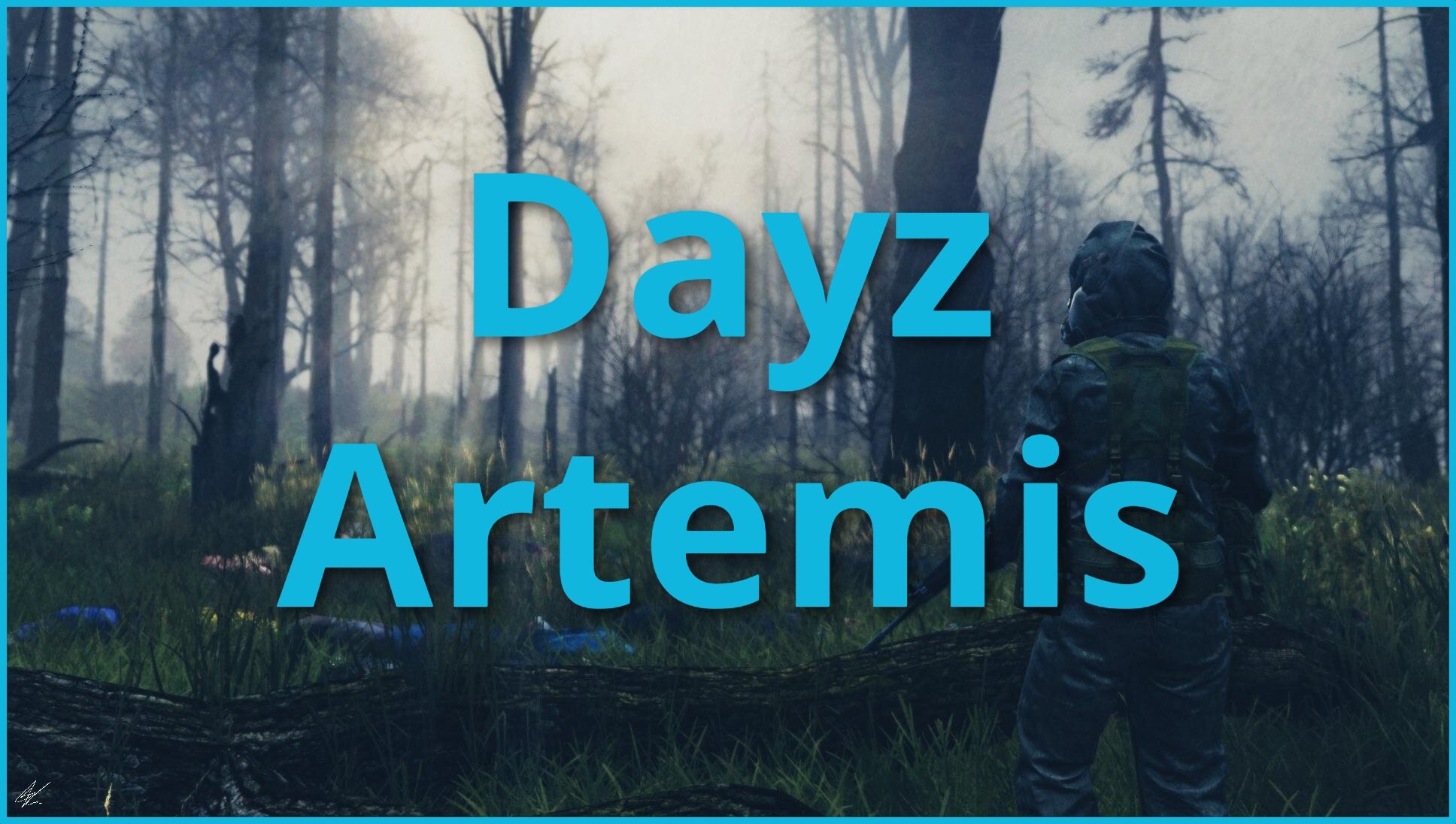 7 Days Access: Dayz Artemis