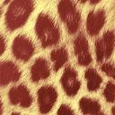5kjordn1